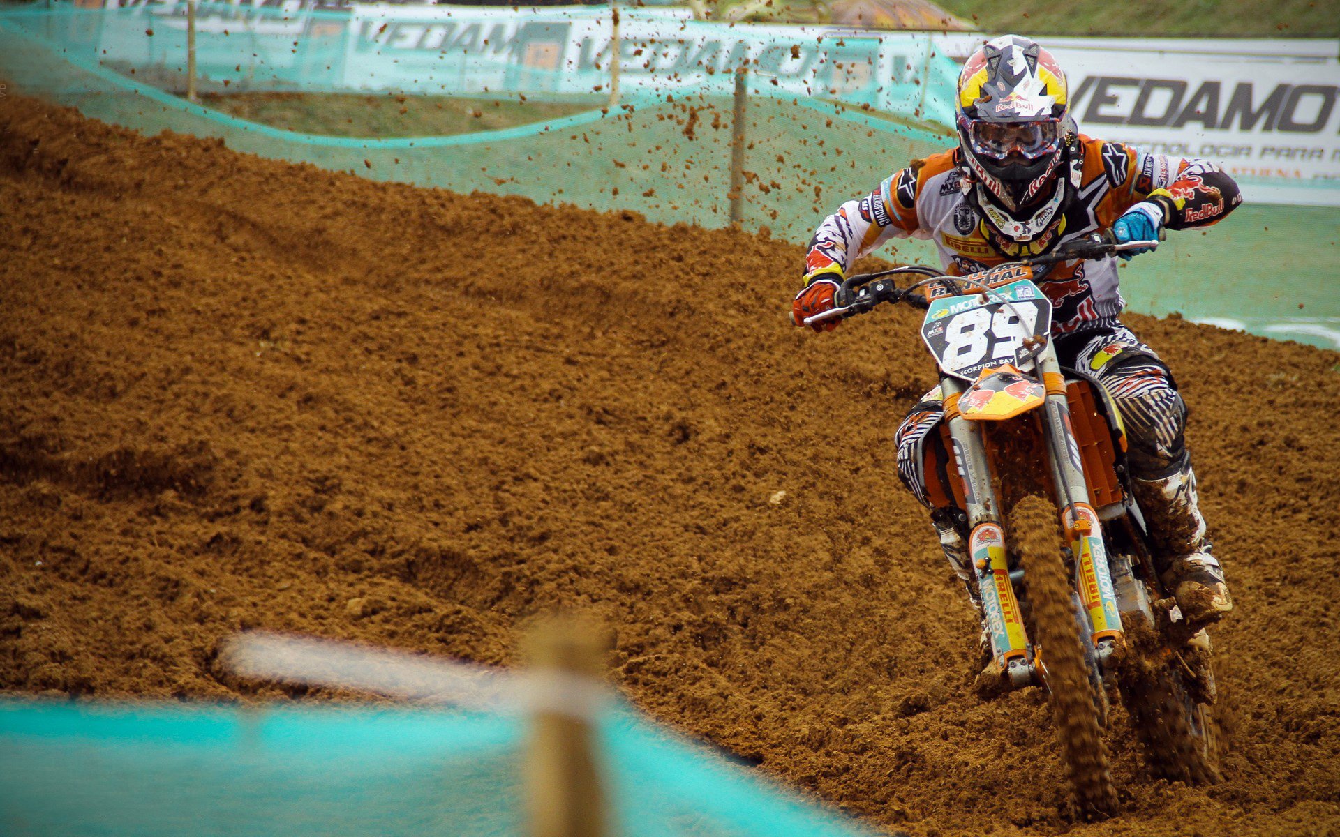 _鹈鹕不断磨合,实力逐步提升_,鹈鹕秒懂