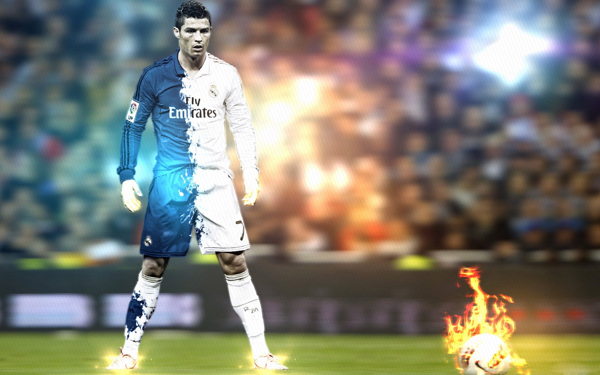 伊朗马术协会与科技公司合作，开发虚拟现实训练平台，提升骑手技能。